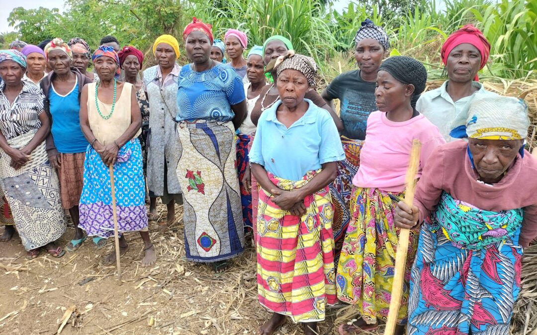 NAMIBE: CAMPONESES DO VALE DO RIO BERO DIZEM TER SIDO ESCURRAÇADOS PELO ENGARREDO DA FAZENDA ALFREDO ANTÓNIO