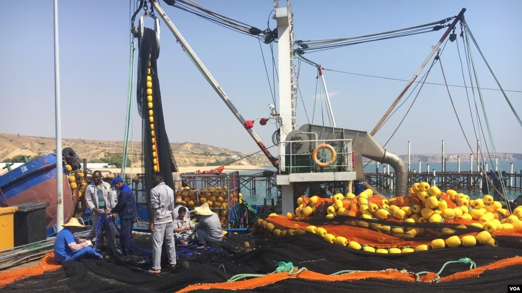 Toneladas de peixe apreendidas vão ser entregues a carenciados no Namibe