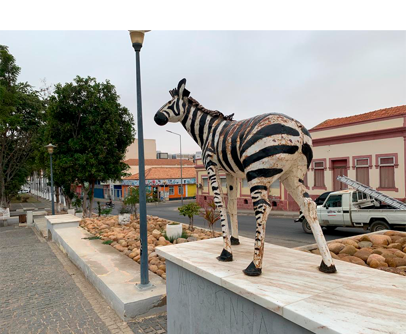 VERDADEIRAS ZEBRAS EM VIAS DE EXTINÇÃO NO PARQUE DO IONA